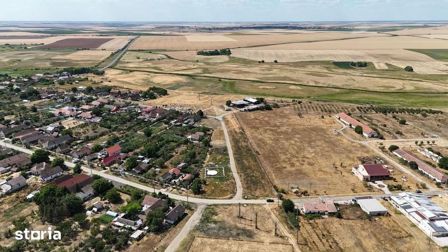Teren de 90000 mp, în Satchinez
