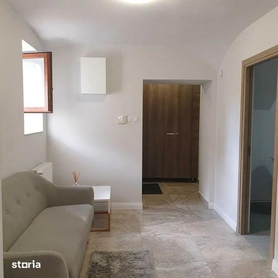 Apartament o camera, ultracentral, spre inchiriere - 3
