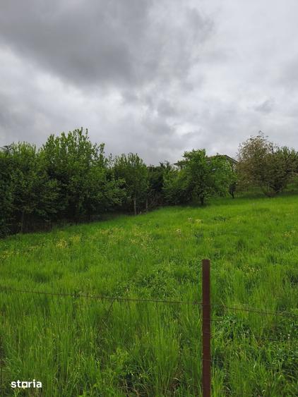 Teren de 950 mp, în Borhanci