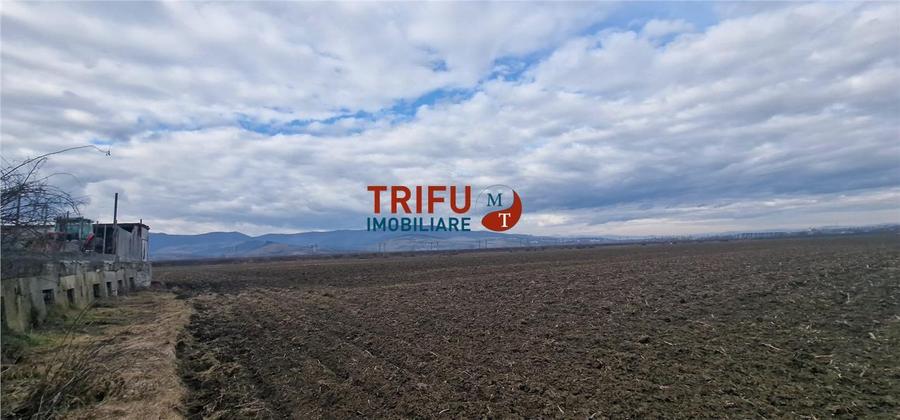 Teren Construcții intravilan de 1600 mp, în Ampoi 1