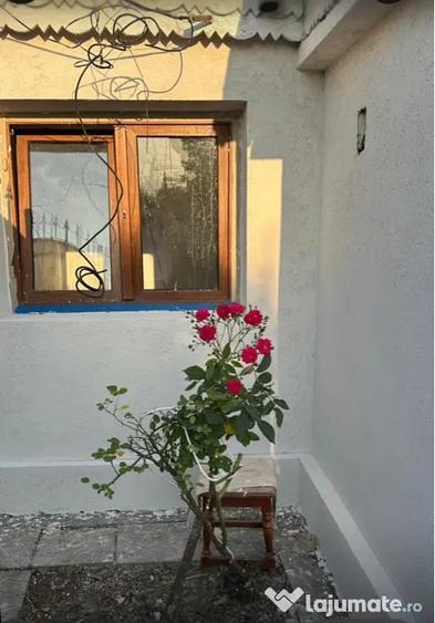 Casă cu 3 camere în Central