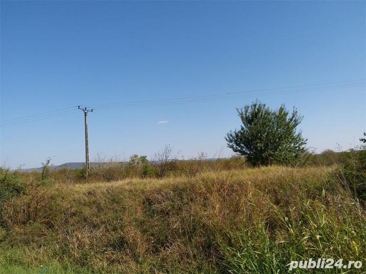 Teren de 15000 mp, în Vernești