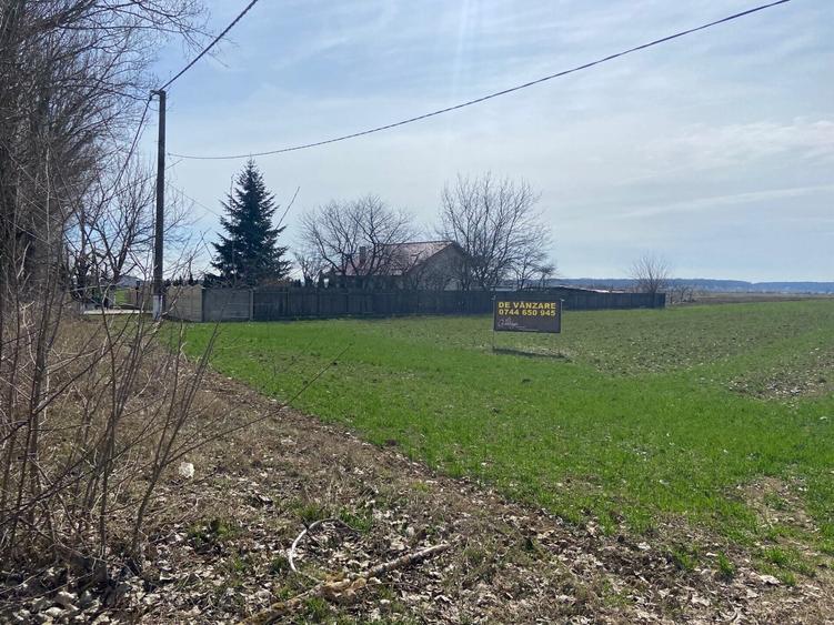 Teren Construcții intravilan de 5000 mp, în Snagov