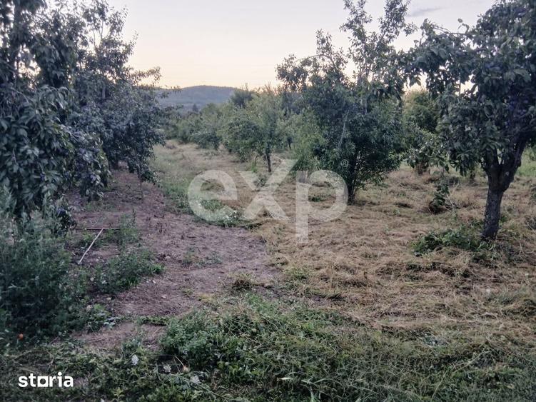 Teren de 1102 mp, în Central