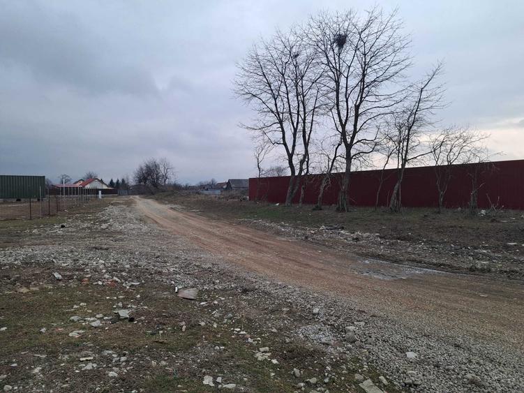 Teren de 1450 mp, în Cărpiniș