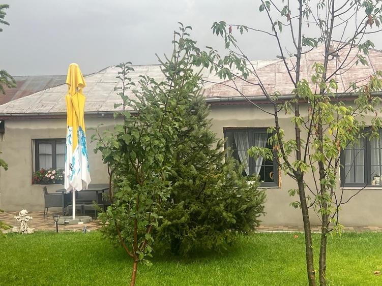 Casă cu 3 camere în Negoiești