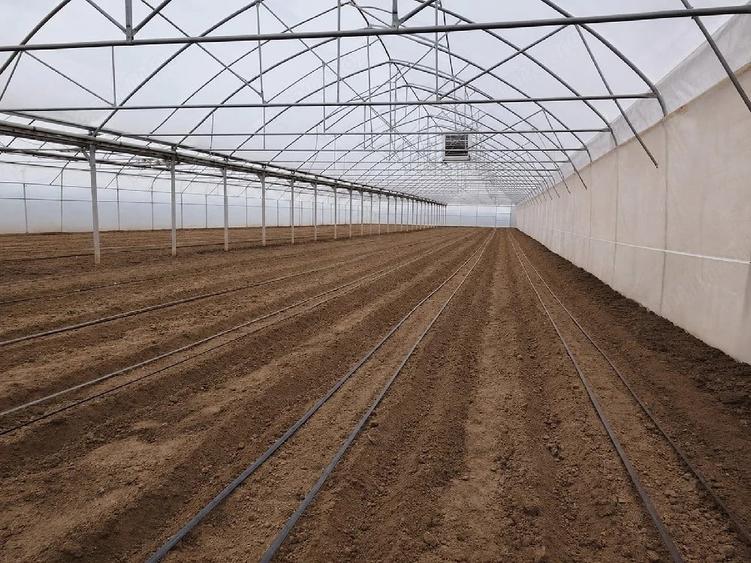 Casă cu 3 camere cu Teren 2054 Mp în Pădurani
