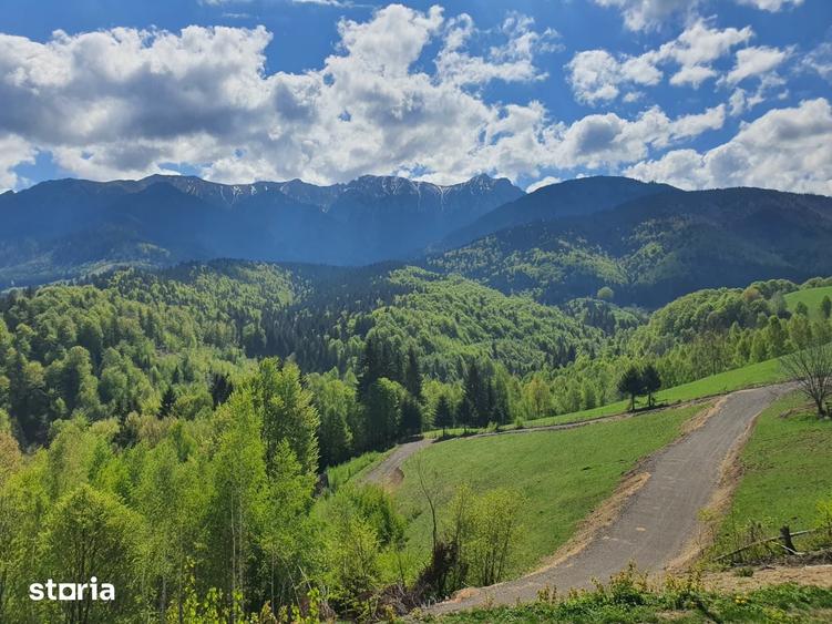 Teren de 500 mp, în Bran