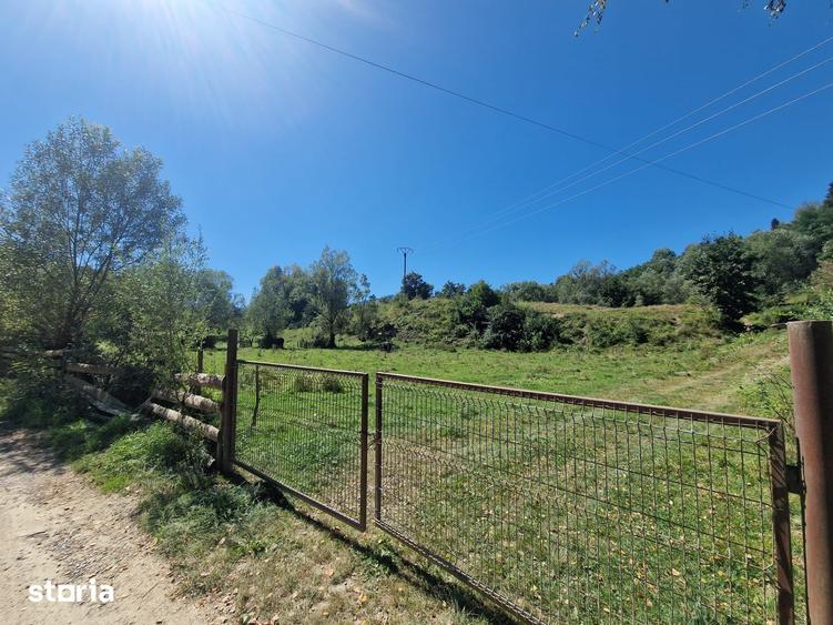 Teren de 17940 mp, în Vama