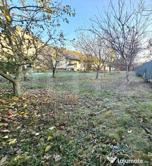 Teren Intravilan + Casa, 2 fronturi, Calea Bogdanesti - 4
