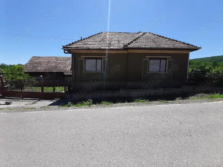 Casă cu 3 camere cu Teren 4000 Mp în Tămașa