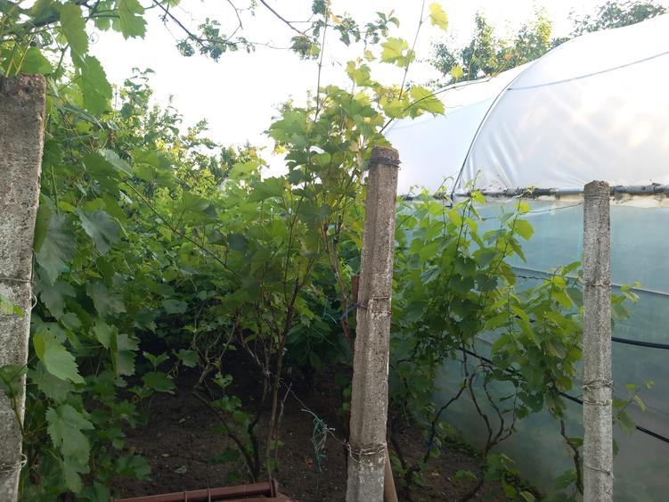 Casă cu 5 camere cu Canalizare în Nanov