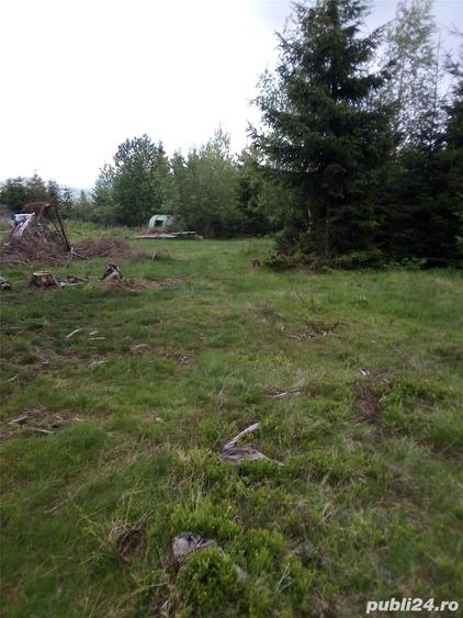 Teren de 17000 mp, în Muntele Băișorii