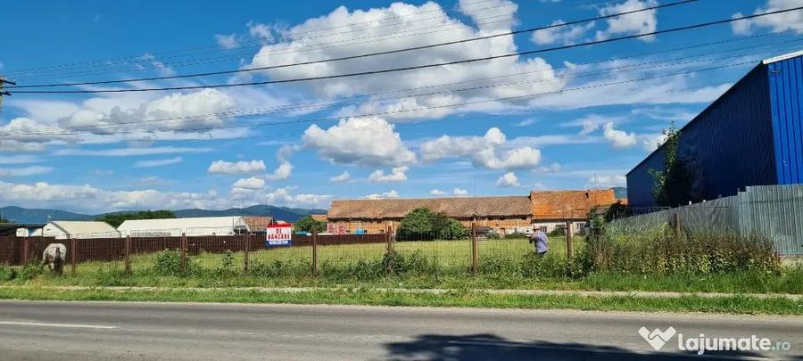 Teren în Cărpiniș