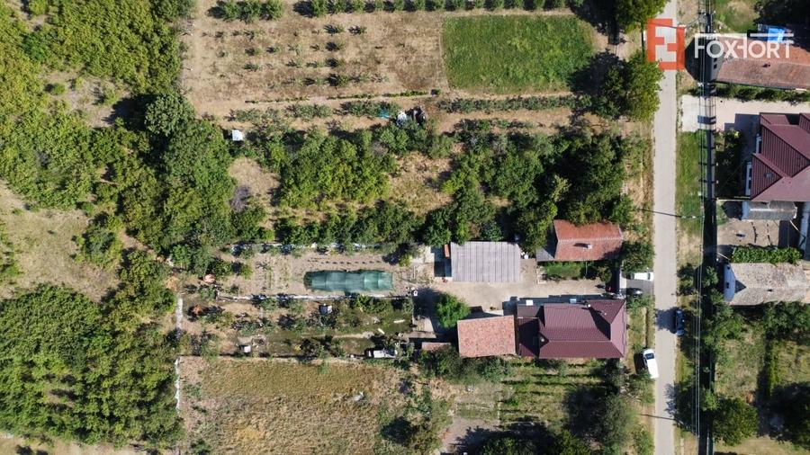 Teren Construcții intravilan de 1519 mp, în Murani