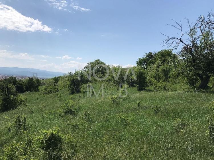 Teren agricol extravilan de 8000 mp, în Gușterița