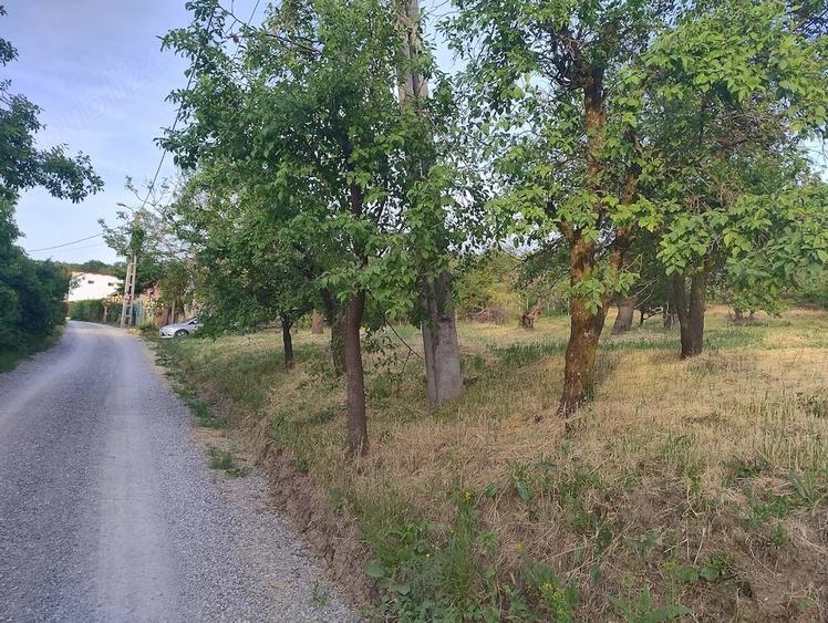 Teren de 3989 mp, în Podgoria