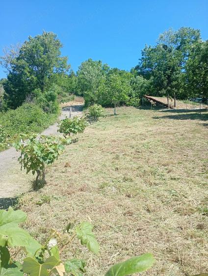 Teren de 866 mp, în Cicârlău