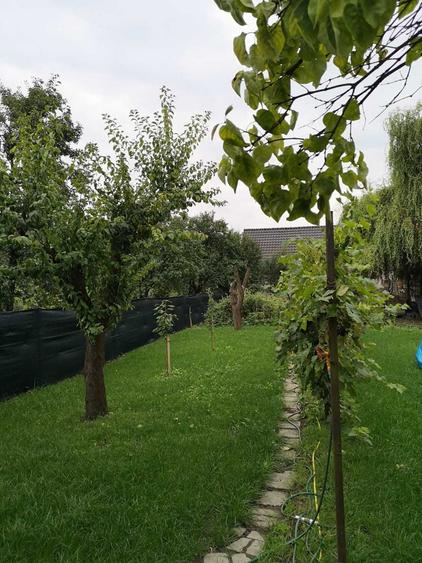 Casă cu 3 camere în Aleșd