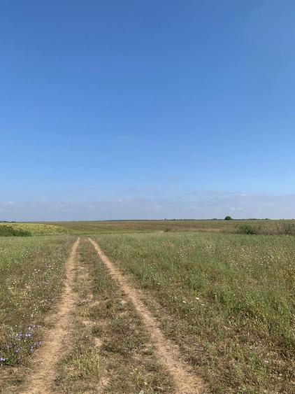 Teren Construcții intravilan de 4250 mp, în Snagov