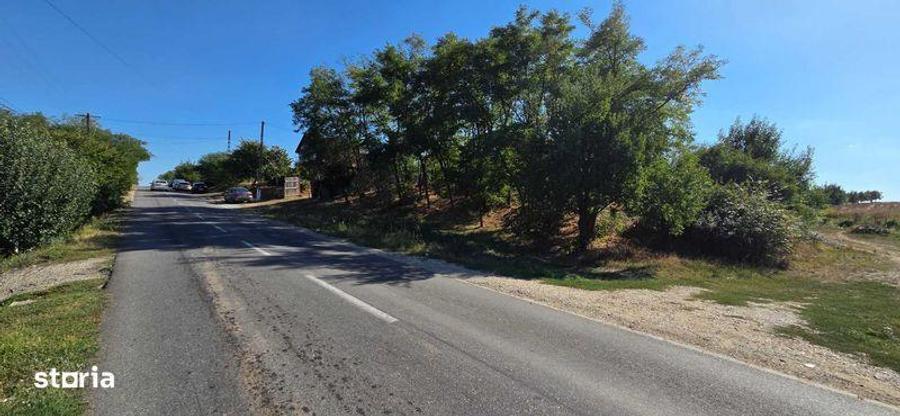Teren de 5500 mp, în Căteasca