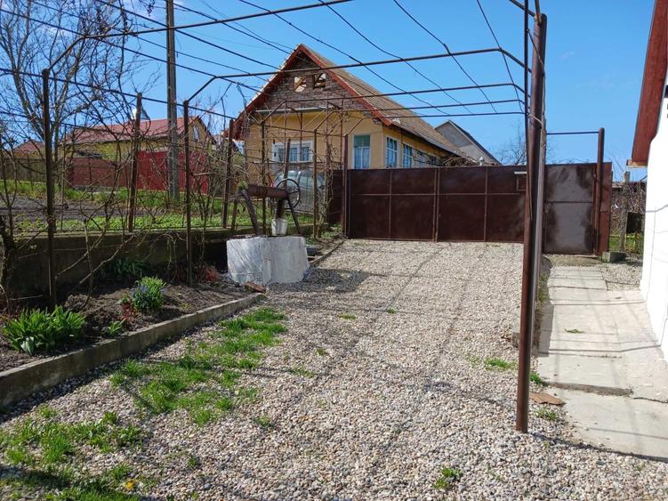 Casa Tarnaveni Seuca Teren 2500Mp - 7