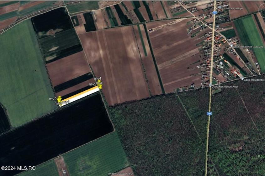 Teren Construcții extravilan de 11884 mp, în Moara Vlăsiei