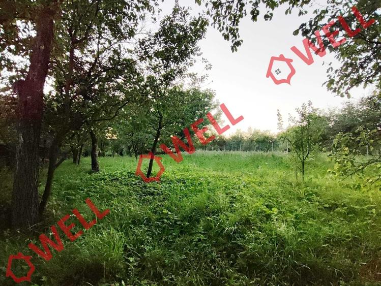 Teren Construcții intravilan de 1800 mp, în Calnic