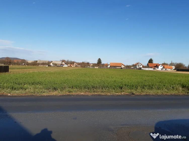 Vand teren intravilan construibil utilitati asfalt central Lunca Calnicului - 8