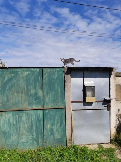 Casă cu 5 camere în Gavojdia