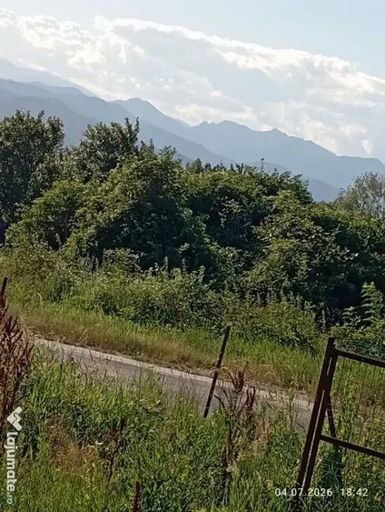 Teren de 1000 mp, în Central