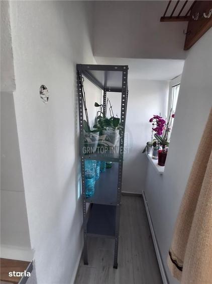 Apartament cu 2 camere decomandat în Terezian