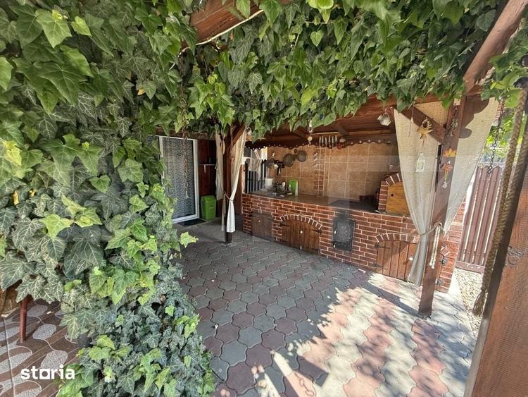 Casă cu 4 camere cu Teren 6325 Mp în Medieșu Aurit