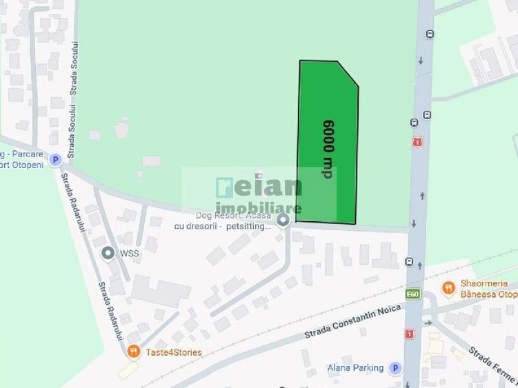 Teren Construcții intravilan de 6000 mp, în Corbeanca