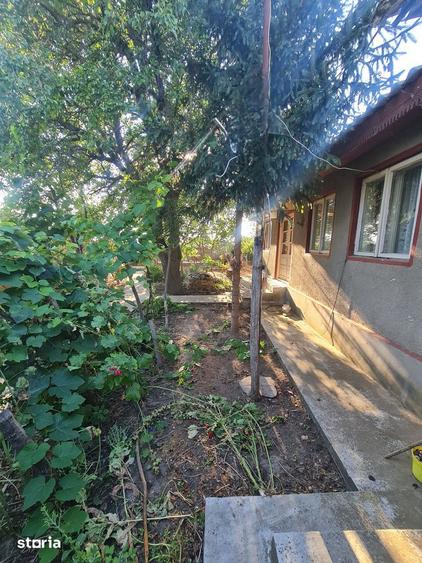 Casă cu 3 camere cu Teren 3200 Mp în Ceamurlia de Jos