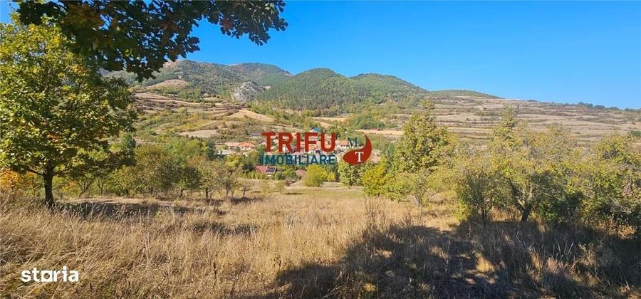 Spațiu comercial, în Ampoița