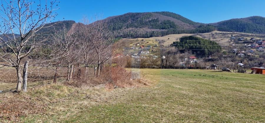 Teren Construcții intravilan de 4000 mp, în Alexandru cel Bun