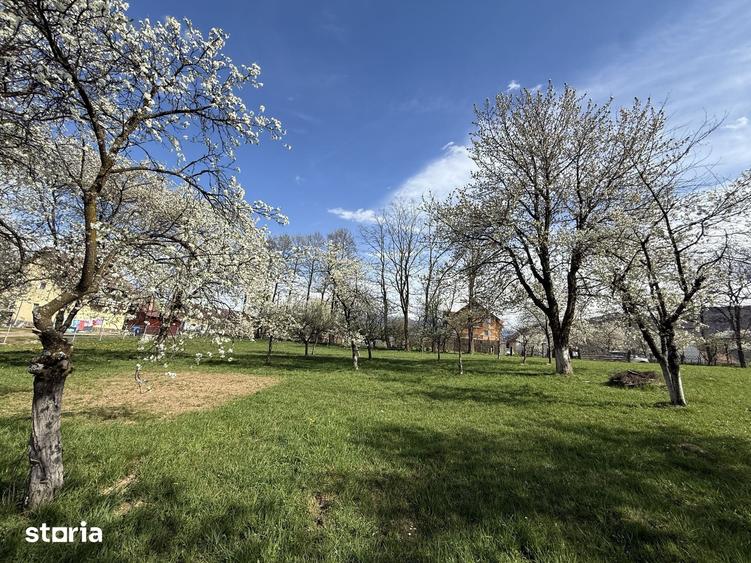 Teren de 1355 mp, în Tohănița
