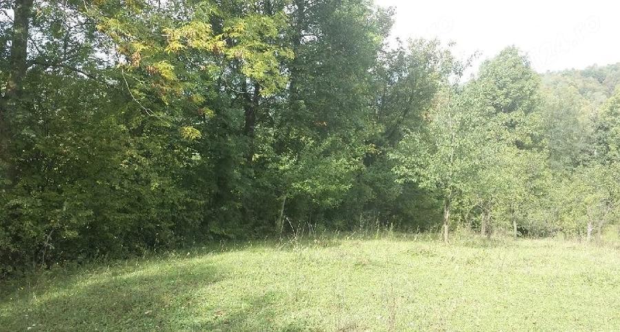 Teren de 14340 mp, în Provița de Jos