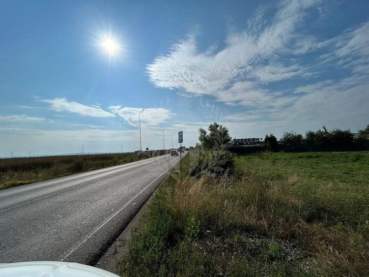Teren de 3000 mp, în Albert