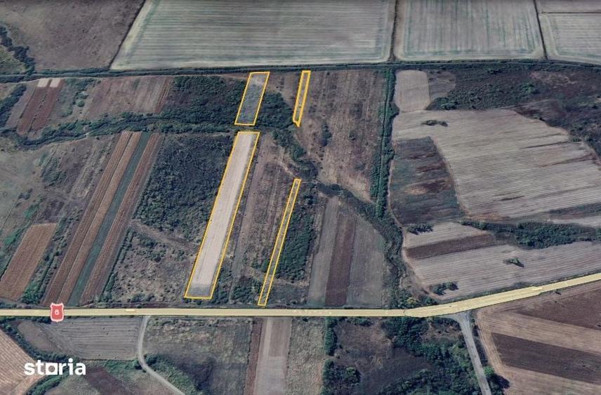 Teren extravilan 28.300 mp intre Gavojdia si Jena - 3