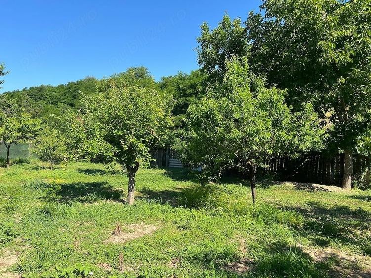 Casă cu Teren 1200 Mp în Central