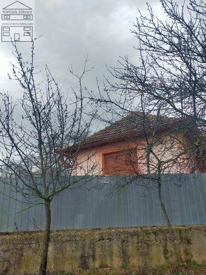 Casă cu 3 camere cu Teren 2672 Mp în Ineu
