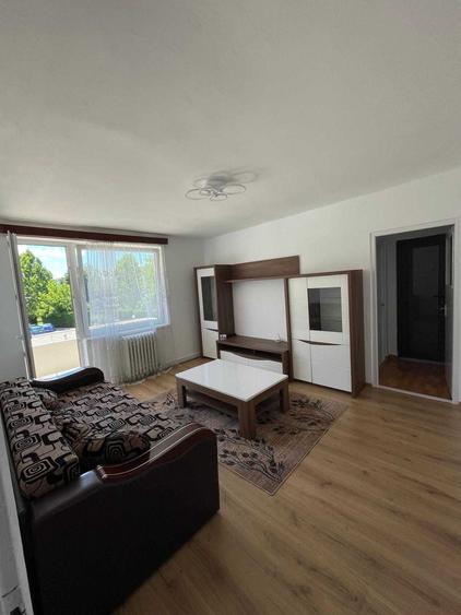 Apartament de inchiriat ultracentral Sebes - 6