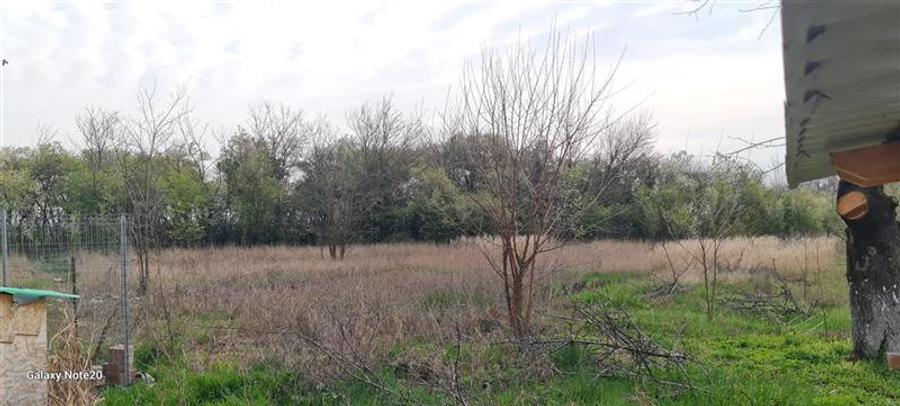 Teren agricol intravilan de 2500 mp, în Dorobanți
