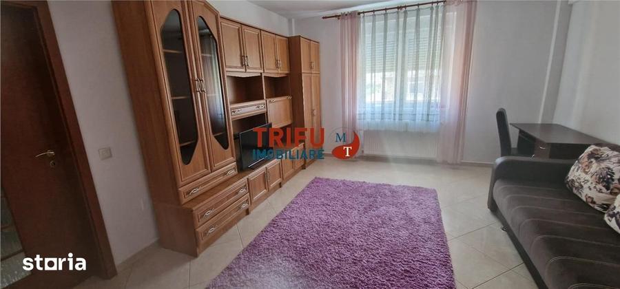 Apartament 2 camere de vanzare zona Centru - 10