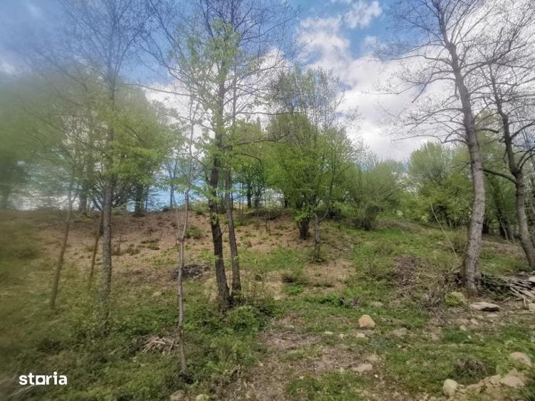 Casă cu 3 camere în Chiuzbaia