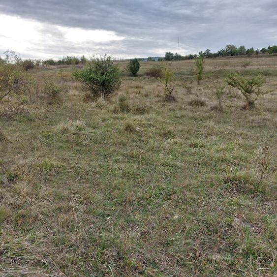 Teren Construcții intravilan de 350 mp, în Borhanci