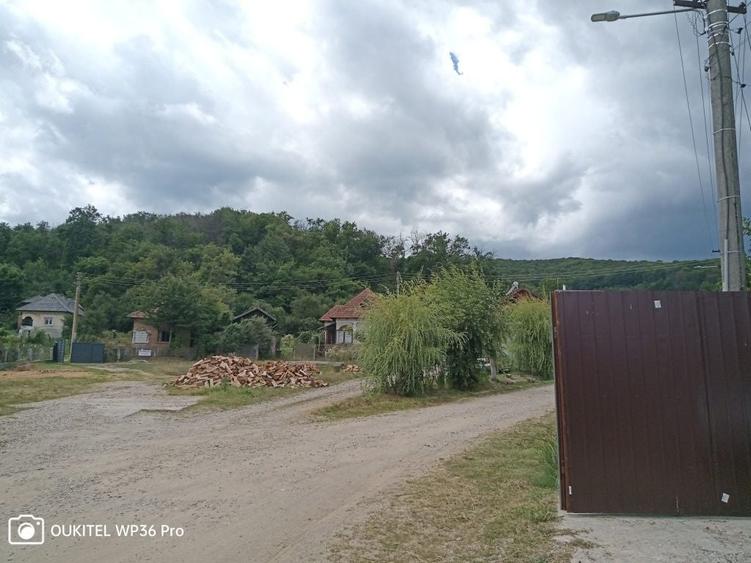 Casă cu 3 camere în Central