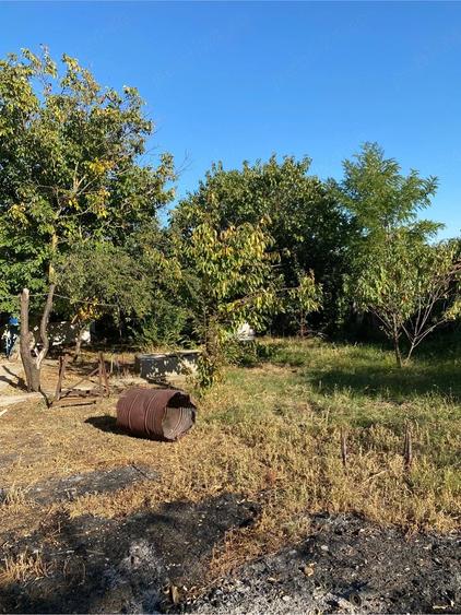 Casă cu 3 camere cu Teren 1600 Mp în Bujoreni